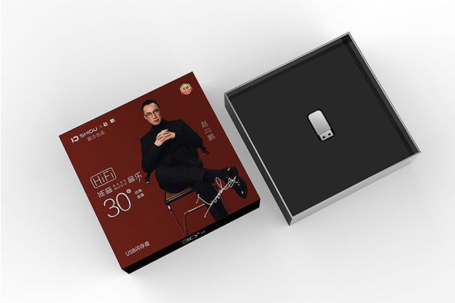 艺人团队项目案例（示意）